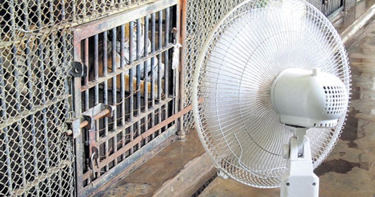 Pilikula zoo battles heat wave with cooling strategies - News Karnataka