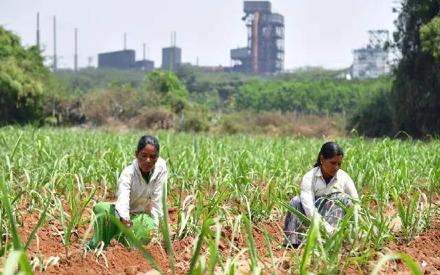 Koppal’s Pollution Crisis: Farmers Demand Factory Shutdown - News Karnataka