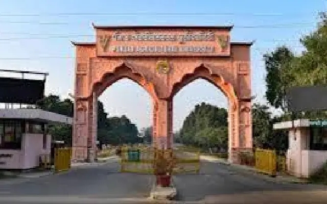 Punjab Agricultural University Partners with Bengaluru Firm for Chilli Hybrid - News Karnataka