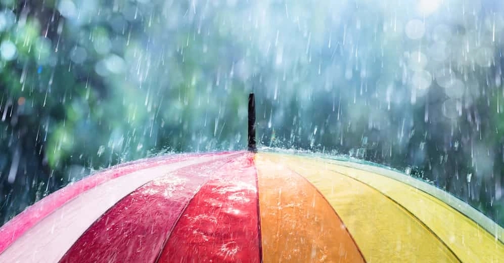 Storms to bring much-needed relief from Telangana's searing heat - News Karnataka
