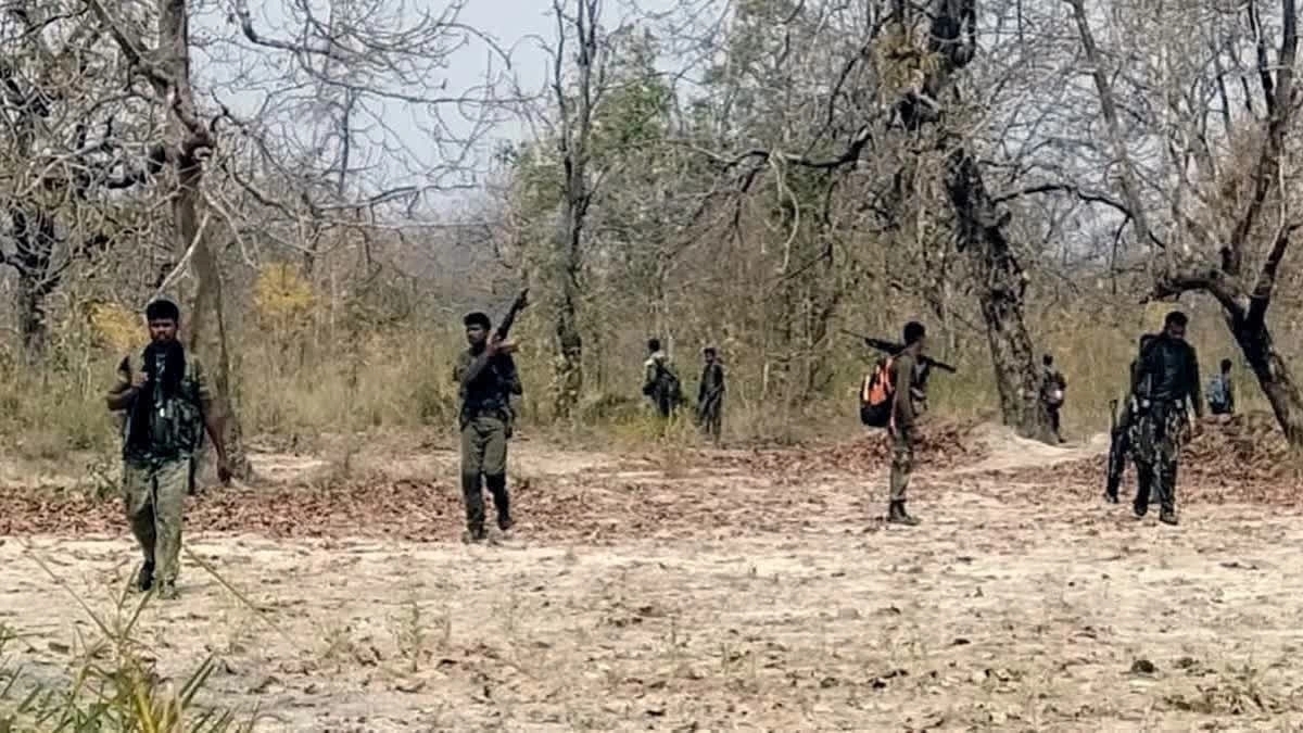 Surrendered Naxals in police custody as investigation begins - News Karnataka