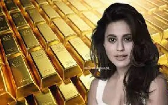 Enforcement Directorate Joins Probe in Ranya Rao Gold Smuggling Case - News Karnataka