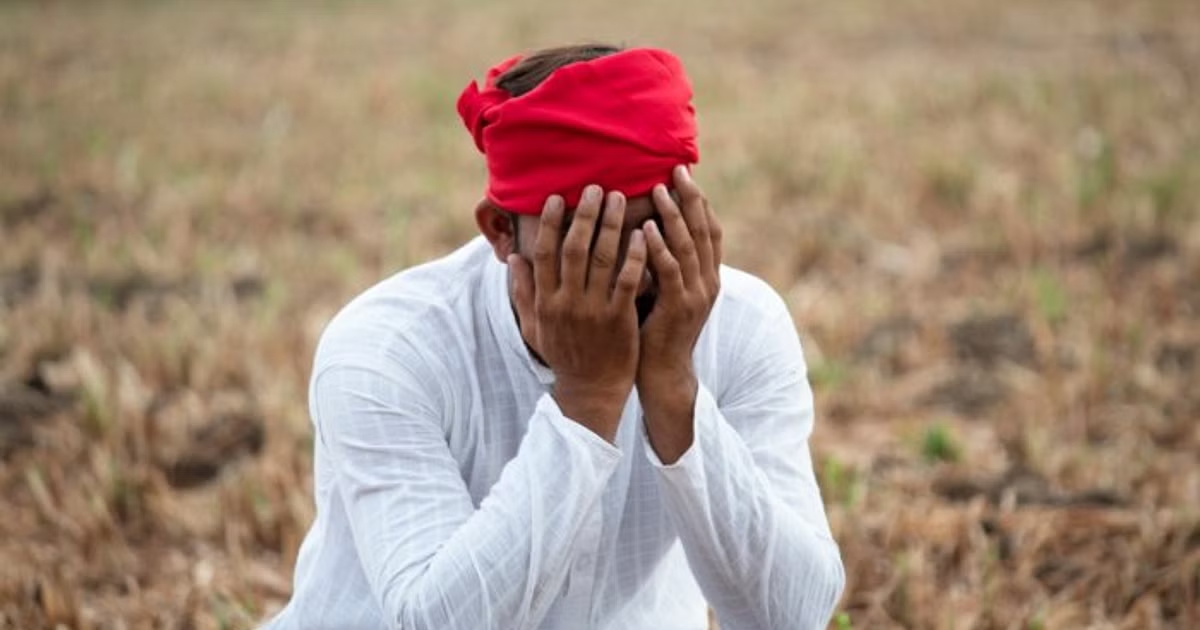 Kalaburagi farmers face crop loss, debt trap, and rising suicides - News Karnataka