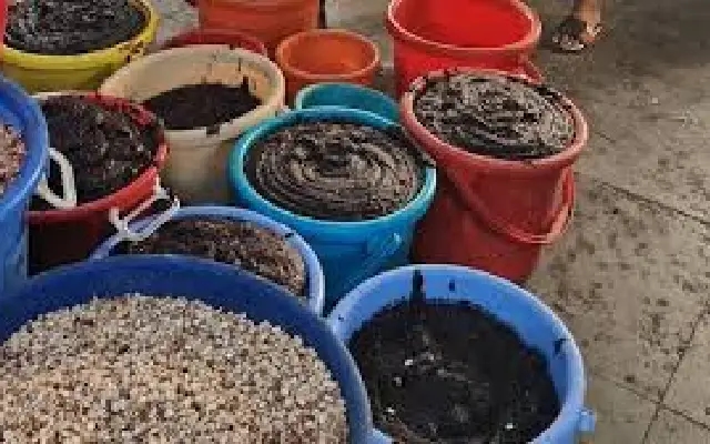 Unsafe Food and Unhygienic Conditions Flagged at Multiple Hyderabad Restaurants - News Karnataka