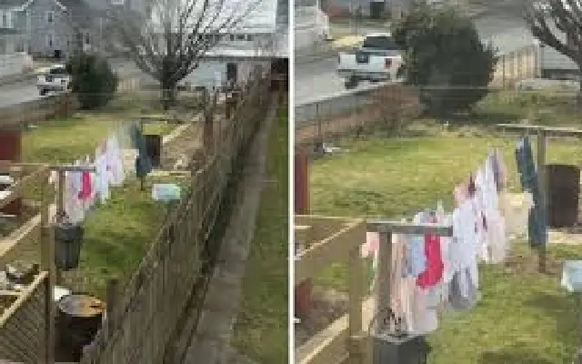 Clothes Drying in Backyard Triggers Heated Debate About Cultural Assumptions - News Karnataka