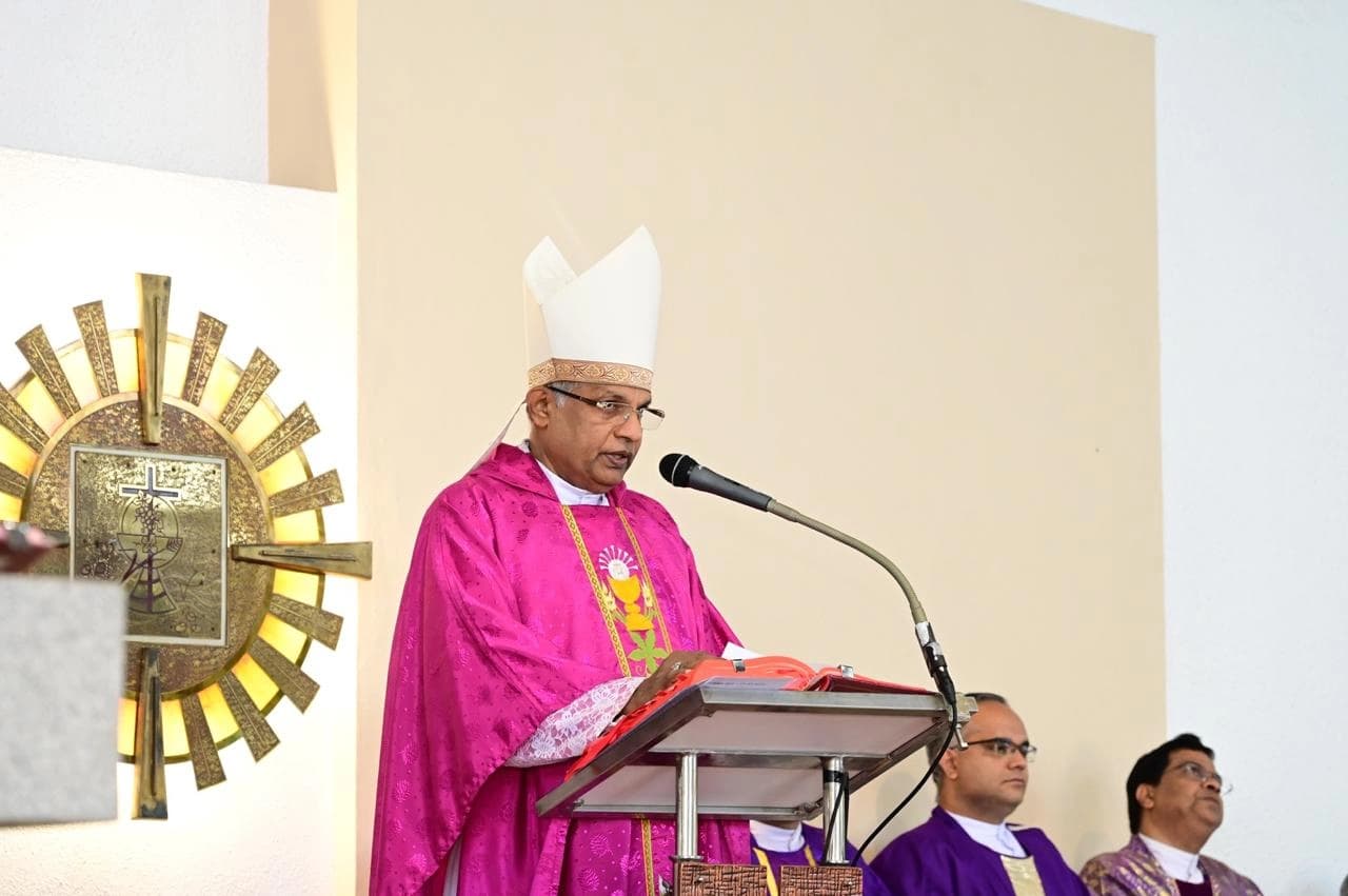 Gallery image 11