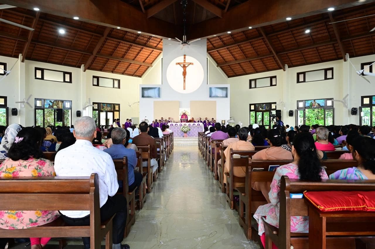 Gallery image 13