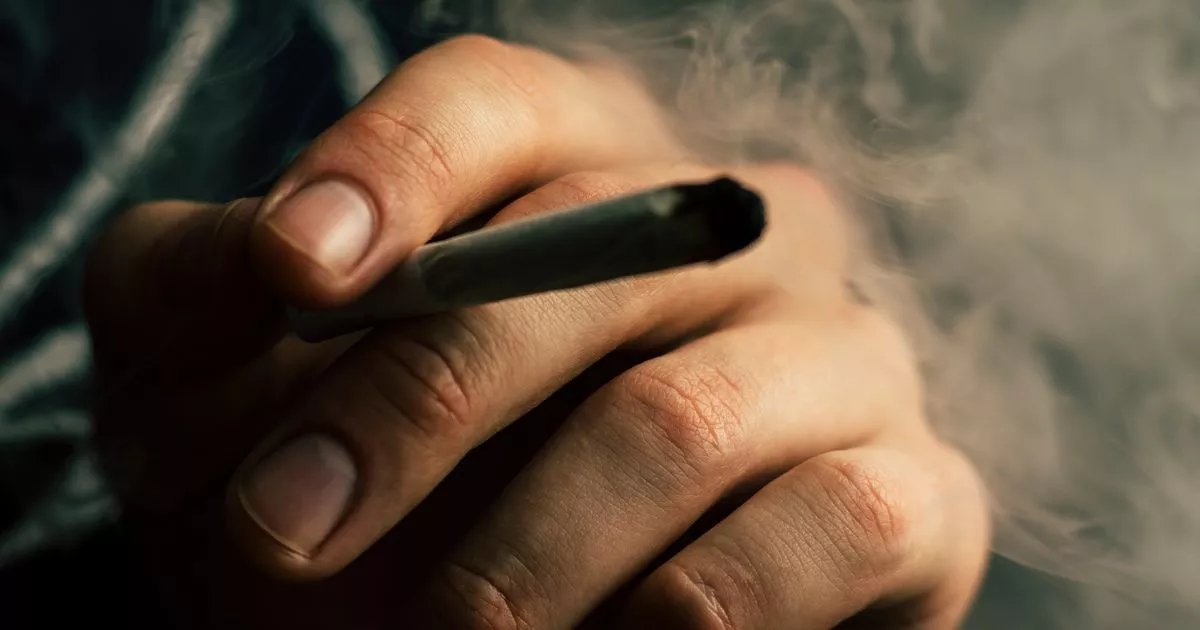 Youth selling ganja to students in Mangalore, arrested - News Karnataka