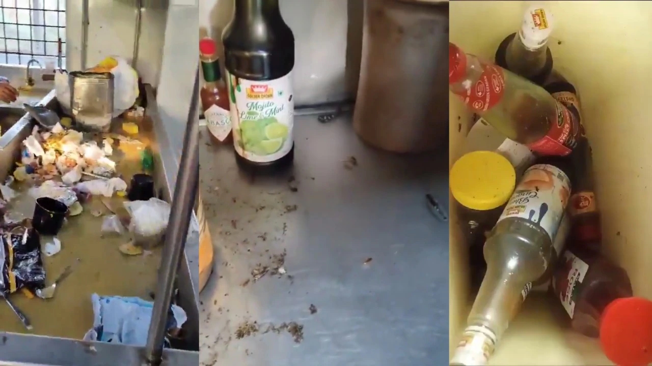 Hygiene Scandal at Hyderabad’s 4 Seasons Restaurant: Cockroaches, Rodents - News Karnataka
