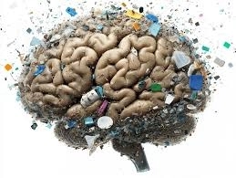 Microplastics Found in Human Brain: Health Risks and Steps to Reduce Exposure - News Karnataka
