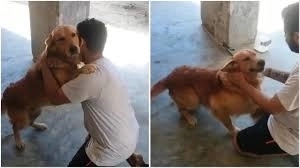 Heartwarming reunion: Delhi man joyfully reunites with lost dog Charlie - News Karnataka