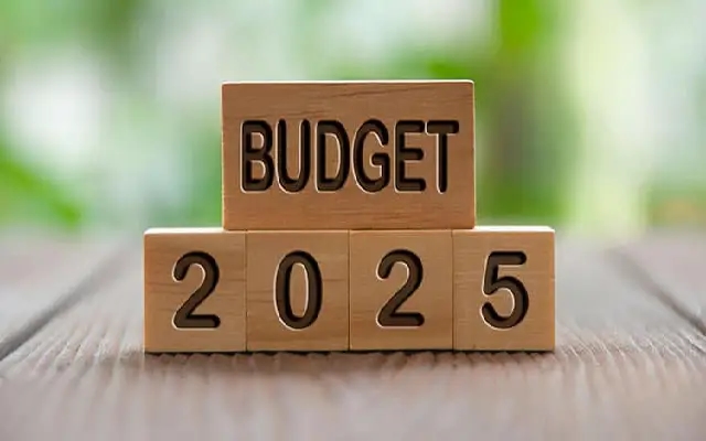 Karnataka Budget 2025 Sparks Controversy in Udupi - News Karnataka