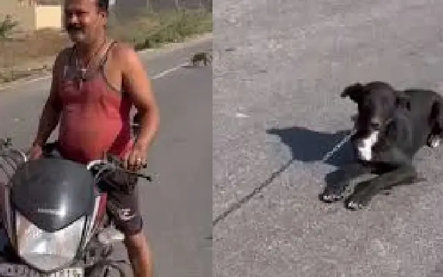 Outrage as Video Shows Dog Being Dragged by Bike in Rajasthan - News Karnataka