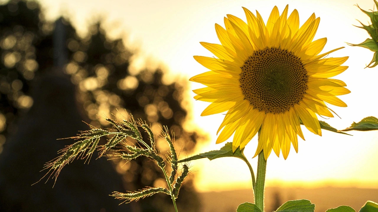 Avoid these 12 summer mistakes to stay safe, cool, and healthy - News Karnataka