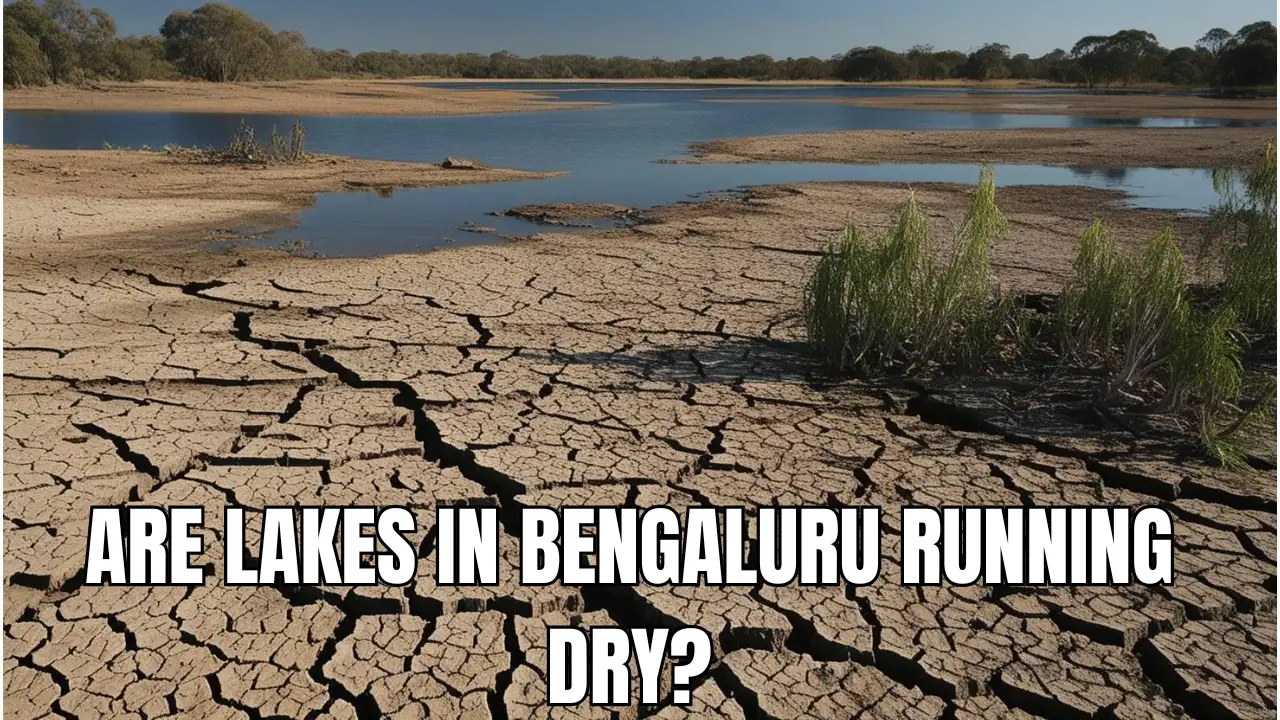 Bengaluru’s lakes run dry despite rains, triggering citywide water alarm - News Karnataka