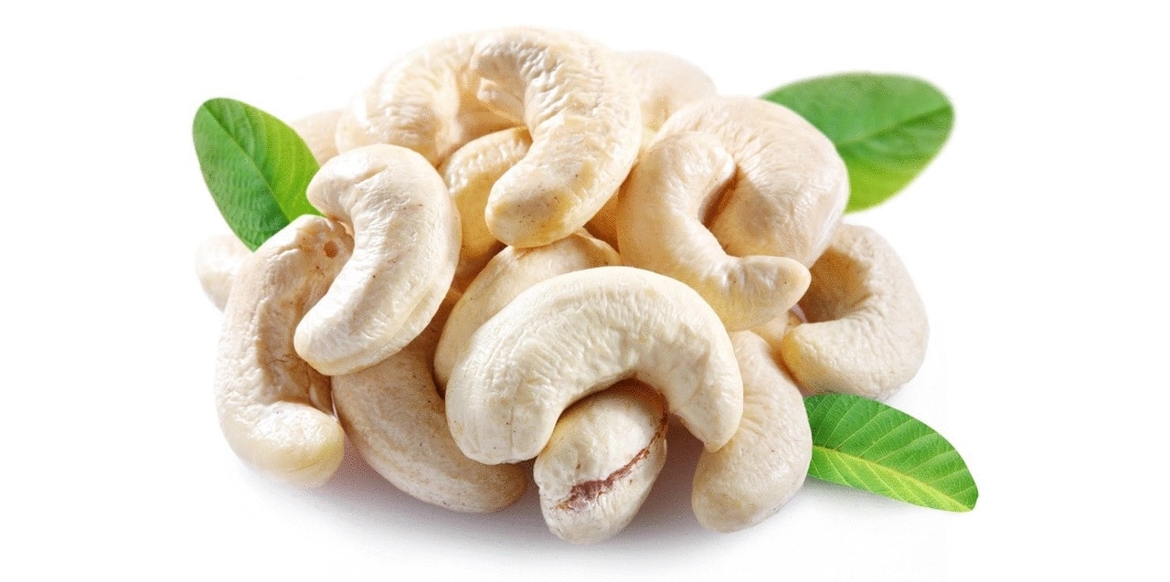 Cashew seed separation gets a modern twist with breakthrough machines - News Karnataka