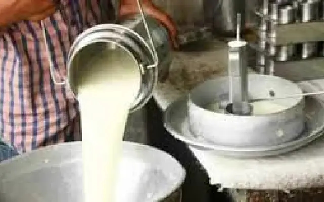 Chikkamagaluru to Get Its Own Milk Union After Bifurcation of Hassan Dairy - News Karnataka