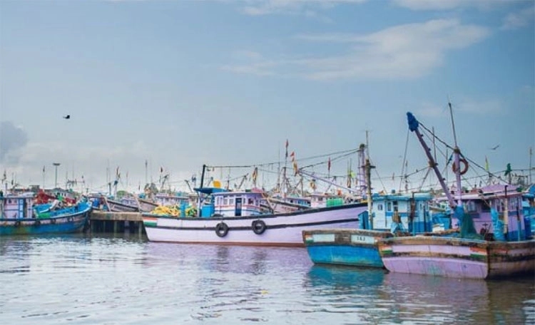 Fish theft at Malpe port: 10 kg catch and fishing gear stolen, case filed - News Karnataka