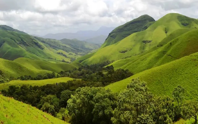Call to Green Karnataka: Activists Demand Tree Authorities in All Local Bodies - News Karnataka