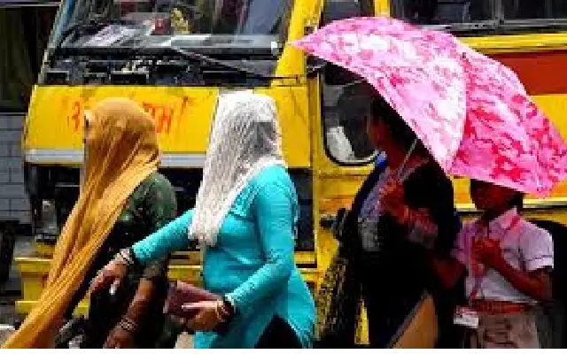 Heatwave Grips Maharashtra: Heatstroke Cases Surge, Safety Plans Falter - News Karnataka