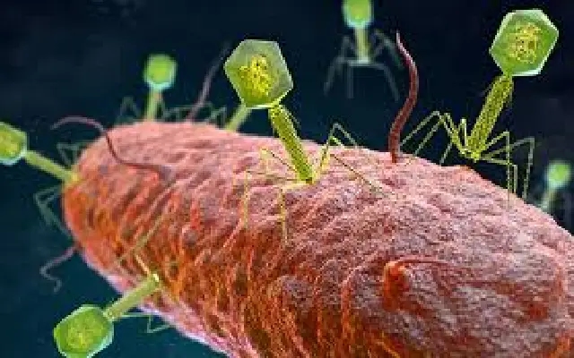 Johns Hopkins Reveals How Bacteria Use CRISPR to ‘Vaccinate’ Against Viral Infections - News Karnataka