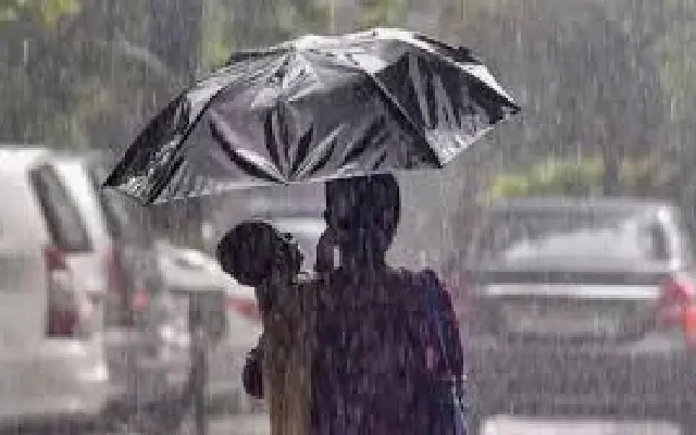 Tree falls in Bengaluru after Sunday rain, more thunderstorms expected - News Karnataka