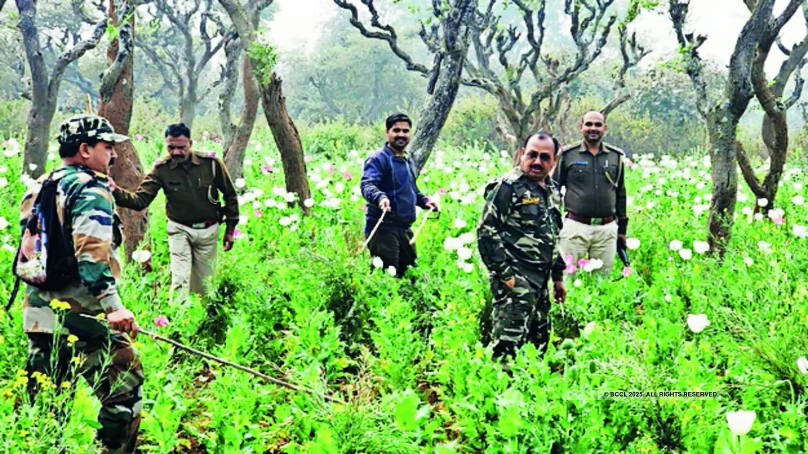 Karnataka intensifies crackdown on illegal Pakistani residents after Pahalgam attack - News Karnataka
