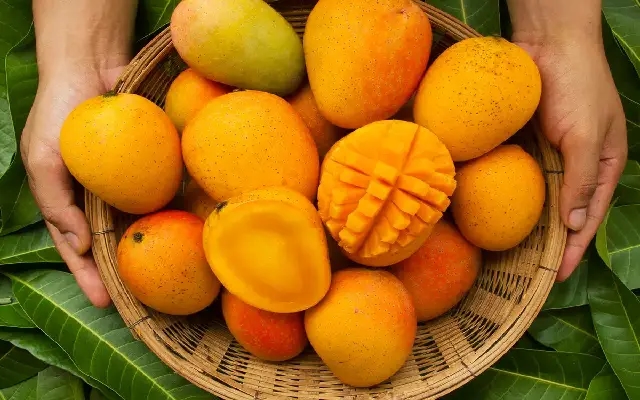 Mango Farmers in Channagiri Shift to Arecanut Amid Price Instability - News Karnataka