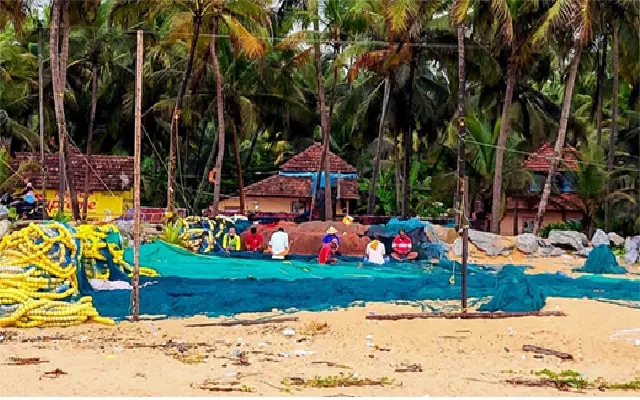 Nationwide Marine Fisheries Census Set for November with Tech-Powered Upgrade - News Karnataka