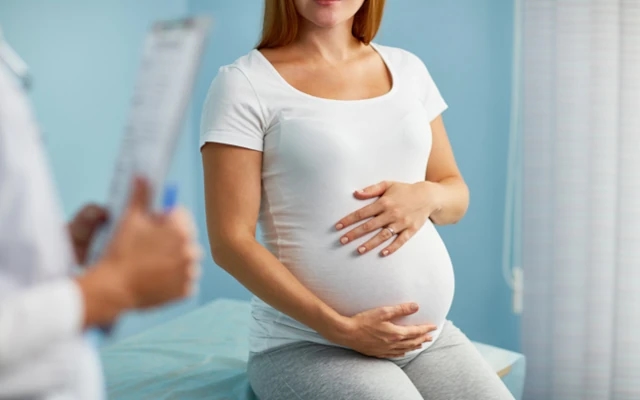 What You Need to Know About the End of Michigan's Surrogacy Ban - News Karnataka