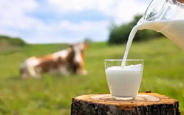 Haveri Milk Producers Disappointed as Union Cuts Payout Despite Price Hike - News Karnataka