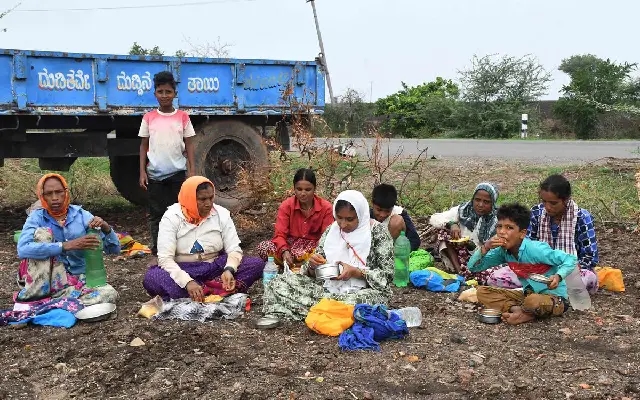 Monsoon Boosts Farmer Hopes in Karnataka, But Flood Preparedness on Alert - News Karnataka