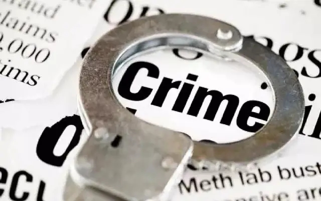 Bengaluru Tragedy: Son Kills 81-Year-Old Mother Over Alcohol Money - News Karnataka