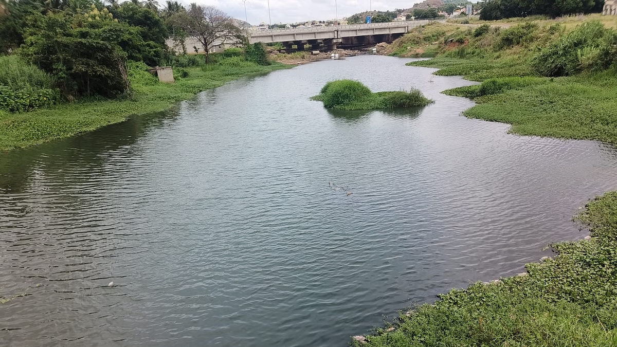 Bengaluru NGO shows toxic pollution in water quality - News Karnataka