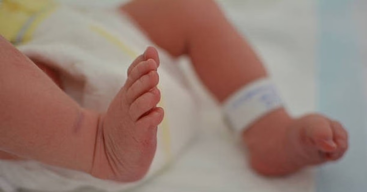 Newborn girl left in trash bin near hospital in Mandya - News Karnataka