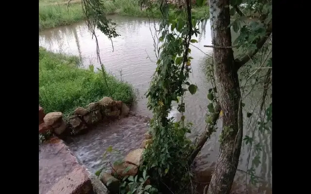 From Ruin to Reservoir: Pakshikere Pond Springs Back to Life - News Karnataka