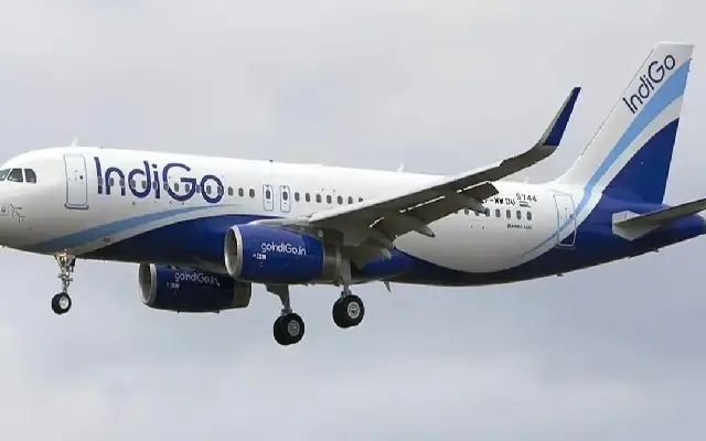 Police Case Filed After Alleged Theft of Gold Necklace by IndiGo Flight Attendant - News Karnataka