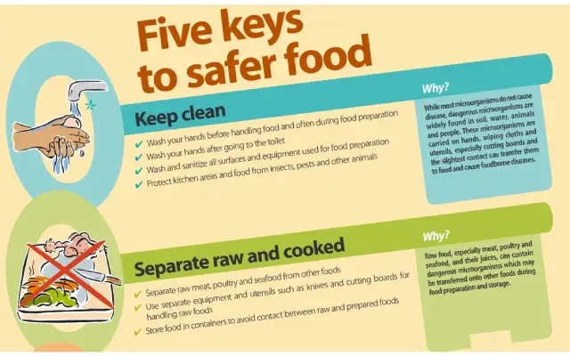 Preventing Foodborne Outbreaks: Key Guidelines for Safe Food Handling and Hygiene - News Karnataka