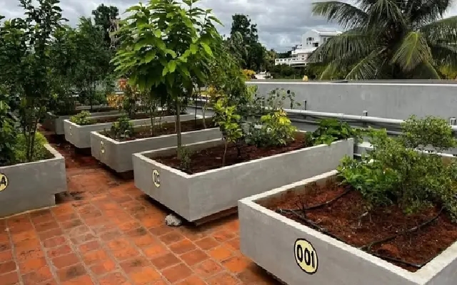 Mysuru’s Rooftop Garden Trend Sparks Urban Greening Buzz - News Karnataka