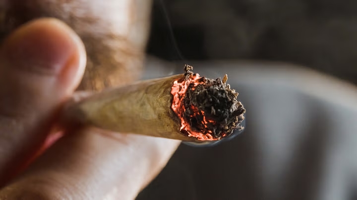 Two youths caught red-handed consuming ganja in public spots - News Karnataka