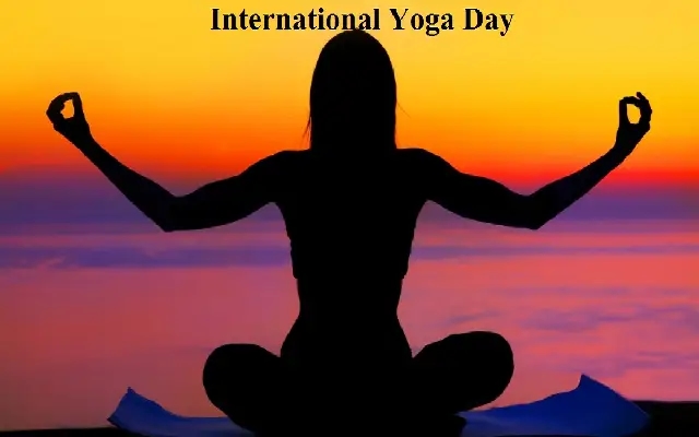 Yoga from the Sky: NYC Launches 75-Day Countdown to International Yoga Day - News Karnataka