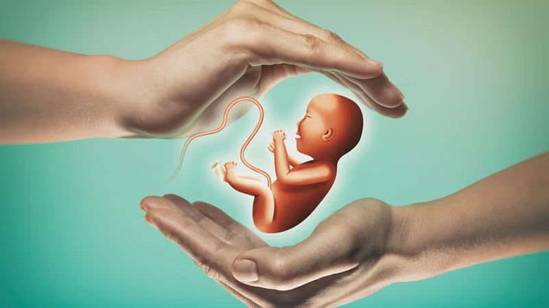 Young women in Bengaluru facing rapid fertility decline, say experts - News Karnataka