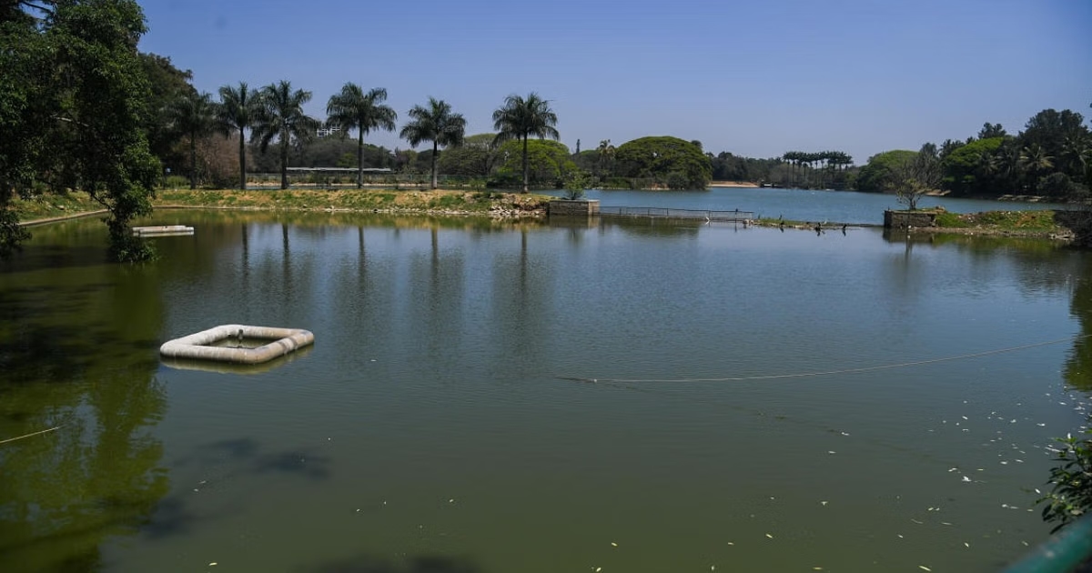 Lalbagh Gets Floating Gardens: A New Approach to Beautifying and Cleaning the Lake - News Karnataka