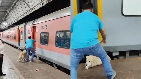 Pet Dog Dragged by Moving Rajdhani Express as Owner Attempts to Board Train - News Karnataka