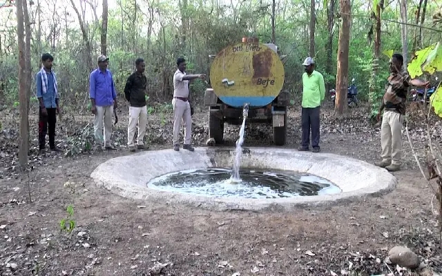 Forest Dept’s Efforts Bring Relief to Wildlife Amid Summer Water Crisis - News Karnataka