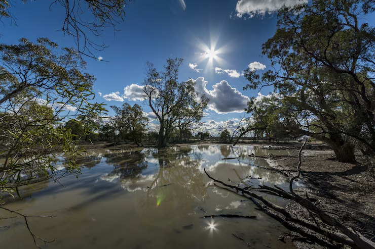 Australia reels from deadly floods as clean-up begins across southeast - News Karnataka