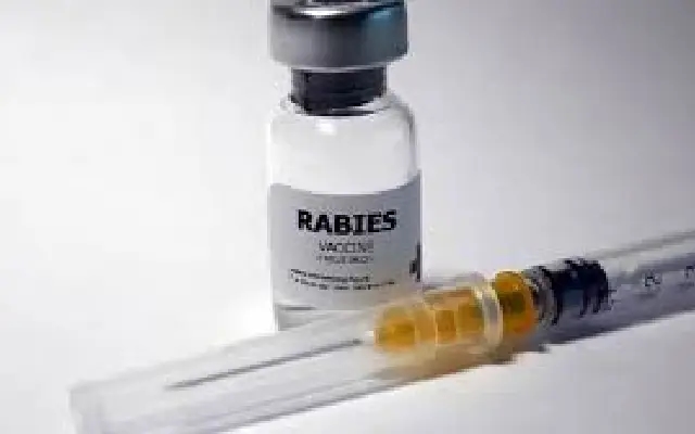 Bengaluru Lab Develops Oral Vaccine for Rabies in Free-Roaming Dogs - News Karnataka