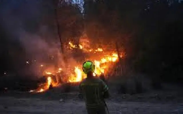 Blazing Peril: Wildfires Threaten Jerusalem, Prompt National Emergency - News Karnataka
