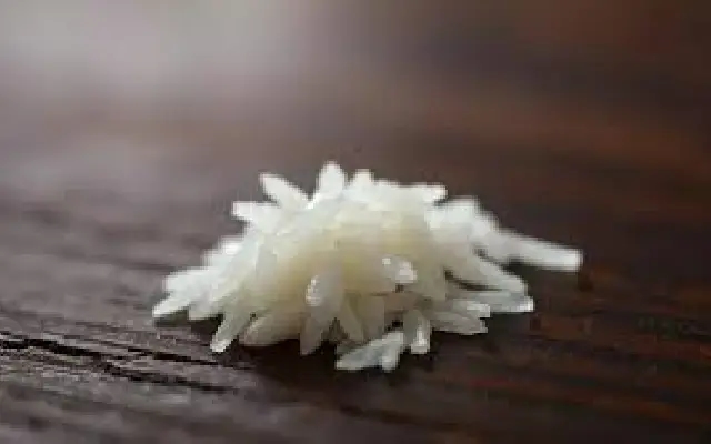 India’s Rice Revolution: Genome-Edited Varieties Promise Yield, Water Savings - News Karnataka