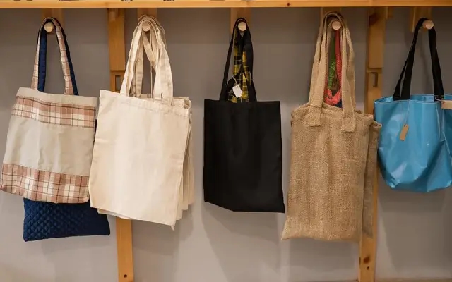 Moodbidri TMC Launches Cloth Bag Drive to Combat Plastic Use - News Karnataka